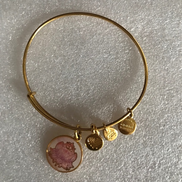 Alex and Ani Expandable Wire Bracelet - Picture 2 of 12